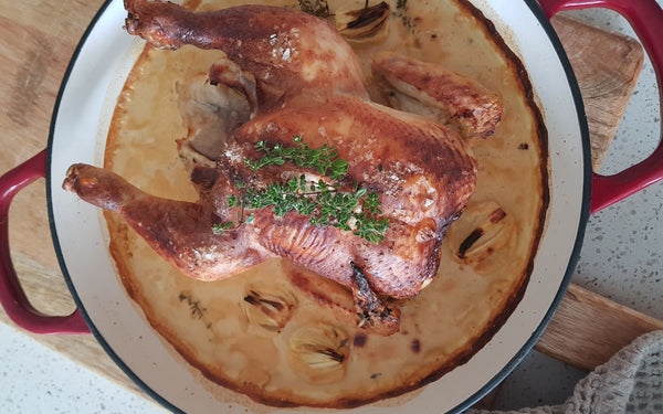 Apricot Mustard Milk Braised Chicken